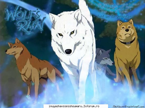 aici puneti poze cu wolf's rain... poze wolf's rain