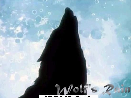 mai poze wolf's rain